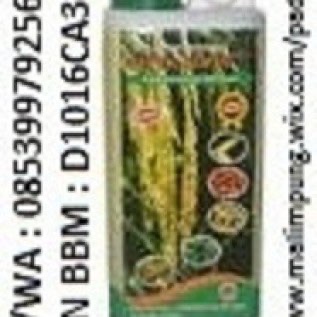 PUPUK ORGANIK CAIR SUPER BIOTA PLUS  MAKASSAR