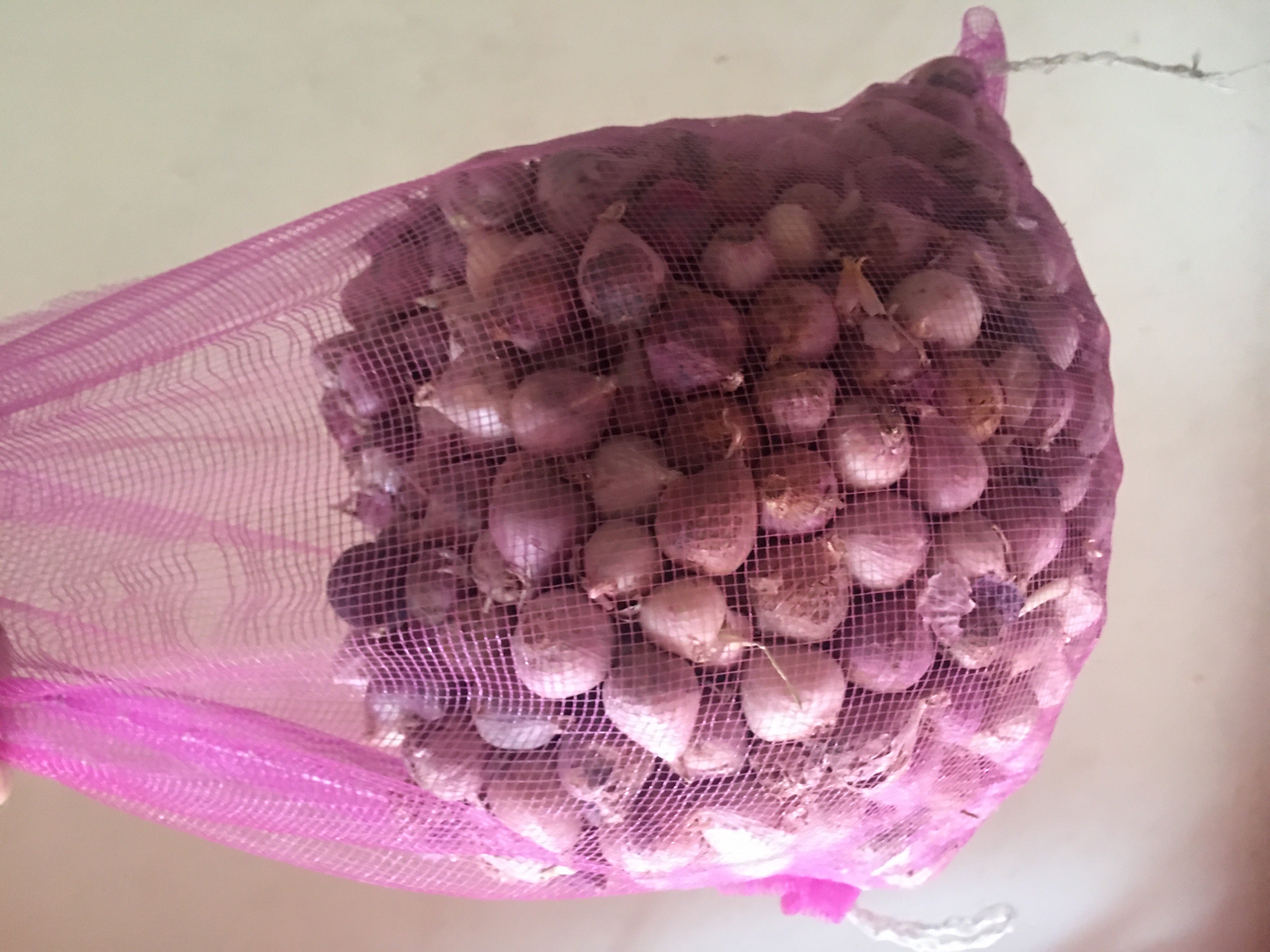 BAWANG PUTIH TUNGGAL