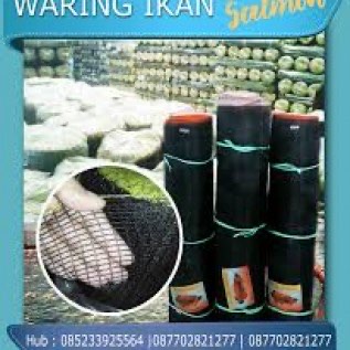 Waring Ikan Salmon