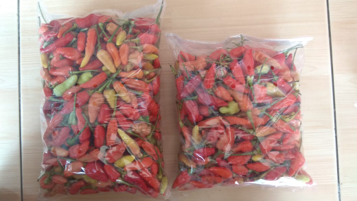 Jual Cabai Rawit