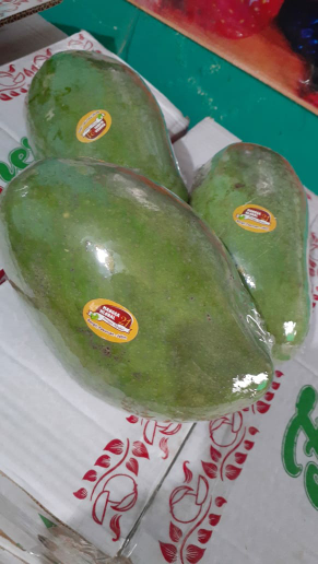 mangga alpukat bangil masak pohon kuwalitas super