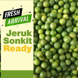 Jeruk Sonkits / Kasturi/ lemon cui / lemon cina