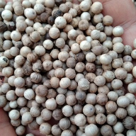 Lada putih /white pepper