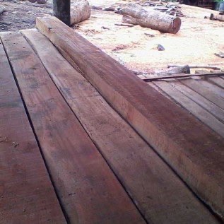 Kayu rasamala kualitas super
