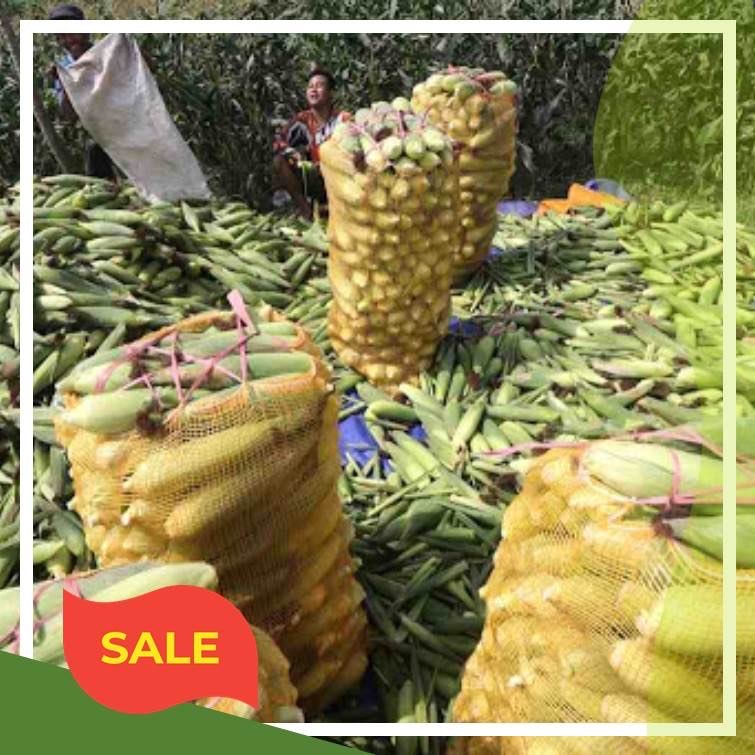 Waring Sayur Termurah, Berkualitas dan Kuat