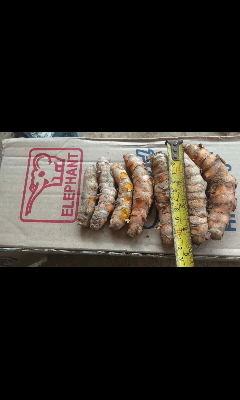 rempah rempah