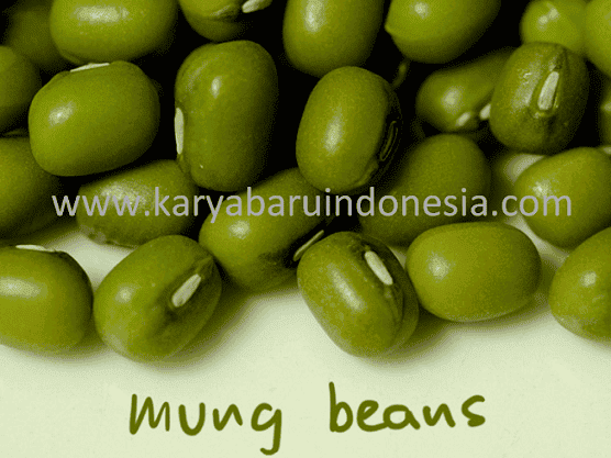 JUAL KACANG HIJAU - BERBAGAI JENIS - GROSIR - PT. KARYA BARU INDONESIA