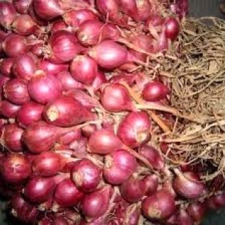 Bawang Merah Kering