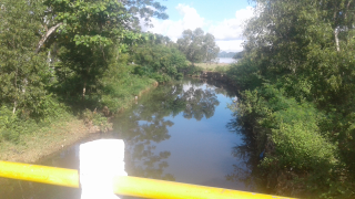 ikan hias