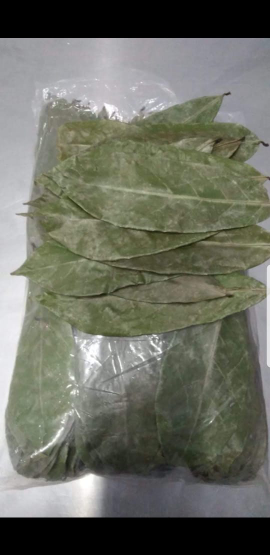 Daun Sirsak Kering