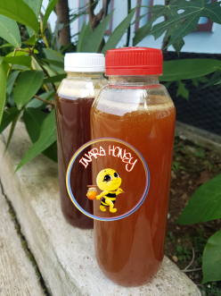 Madu Hutan murni/Fresh hutan Amfoang NTT
