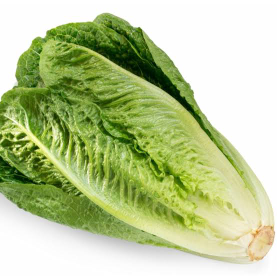 sayuran Romaine (selada cos)