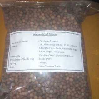 Jual Benih Cendana (Santalum album)