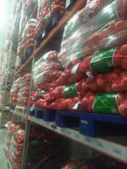 bawang bombay