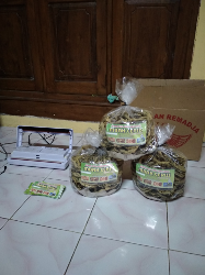kripik belut