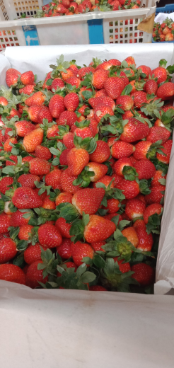 Strawberry Fresh Bandung Selatan