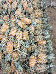 Nanas madu
