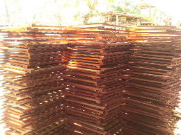 kandang ayam
