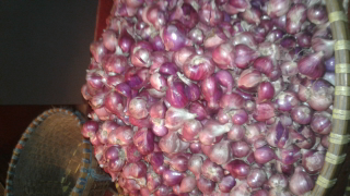 bawang merah