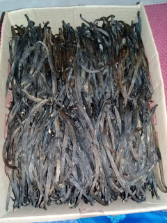 jual vanili kering/ basah