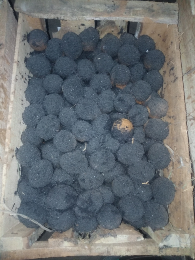 telur bebek  asin siap masak
