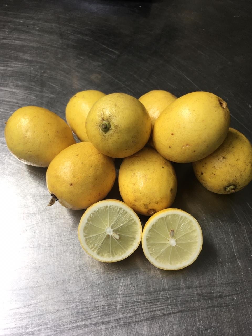 Lemon Lokal Fresh