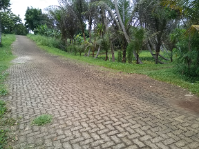 lahan budidaya ikan
