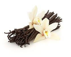 vanila bean/vanili kering