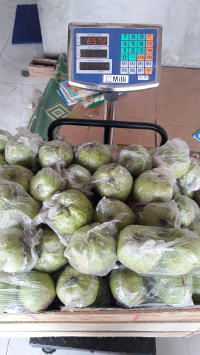 Jambu Kristal Buah