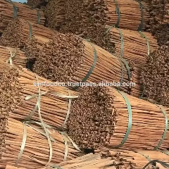 Cengkeh stick super