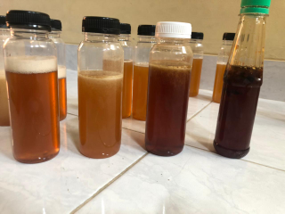 madu sialang