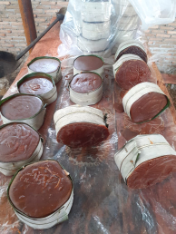 Gula Aren organik diproduksi sendiri,100% ASLI