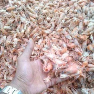 Jual Kepala Udang dan Kulit Udang Kering dan Basah GUDANG DEPOK