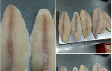 Dori / fillet patin