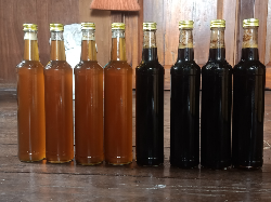 Madu Sialang