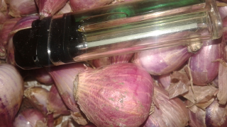 bawang merah