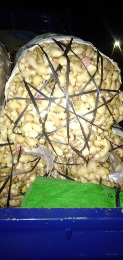 Siap supplai dan banyak stock, Temulawak, kunyit, kunyit putih kering, jahe gajah