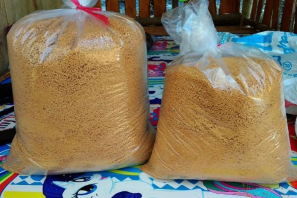 Gula Aren semut
