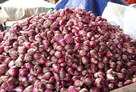 Bawang Merah Asli Brebes