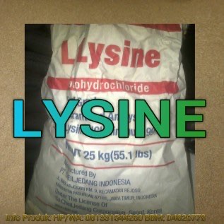 Lysine  -  lisin 