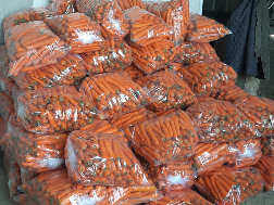 Jual Wortel