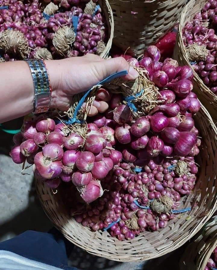 Bima Fresh Red Shallot (Bawang Merah Bima)