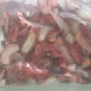 GURITA POTONG / DAGING GURITA POTONG MURAH - SURABAYA