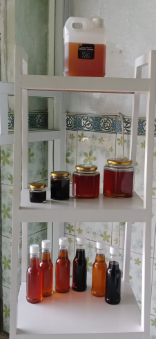 MADU SIALANG DAN MELIIFERA