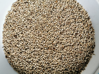 Merica Putih Bulat Utuh - Lada Putih Bulat Utuh - White Pepper Bangka Belitung