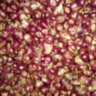 bawang merah brebes super pilihan