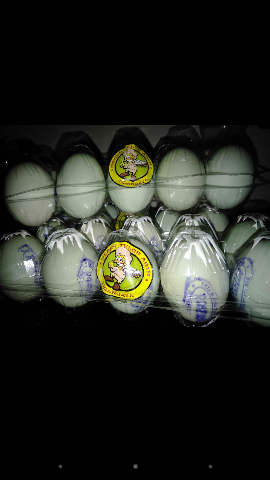 telur asin super
