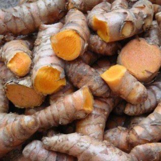 jual komoditi Kunyit Basah & Kering 