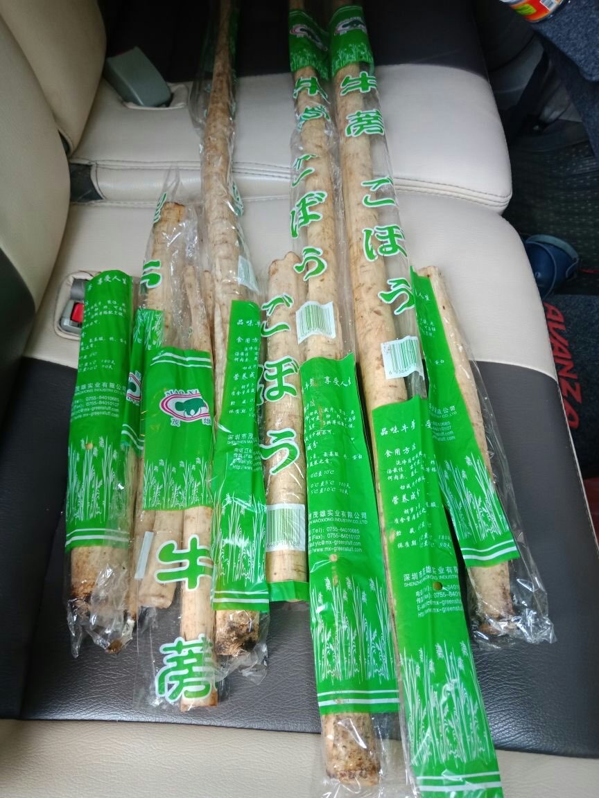 Gobo / Ketela Jepang / Burdock