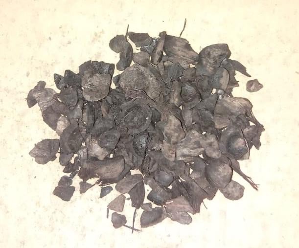 JUAL CANGKANG KELAPA SAWIT / PALM KERNEL SHELL MOISTURE FIX <18% SCREENING 